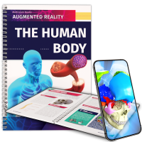 The Human Body The Human Body