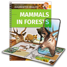 Mammals in Forests Mammals in Forests