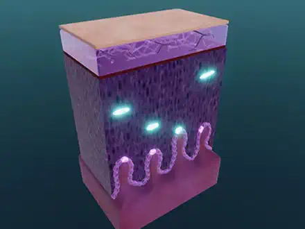 The Tissue Issue