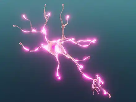 All Nerves