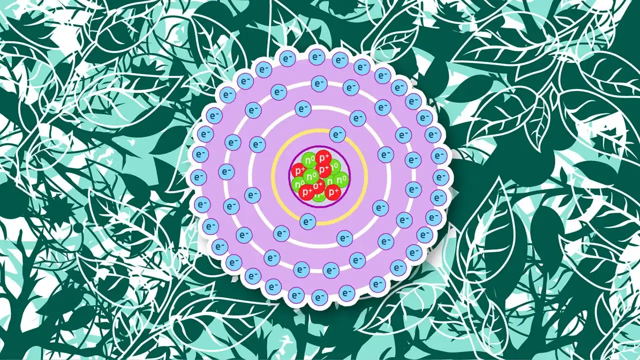 Electron Structure