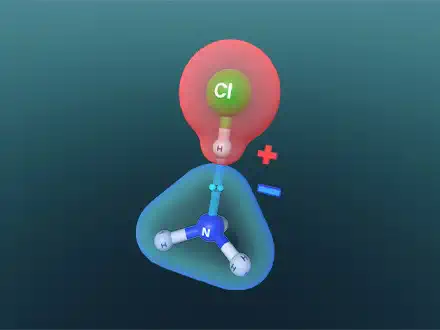 What Is Required for Reactions?